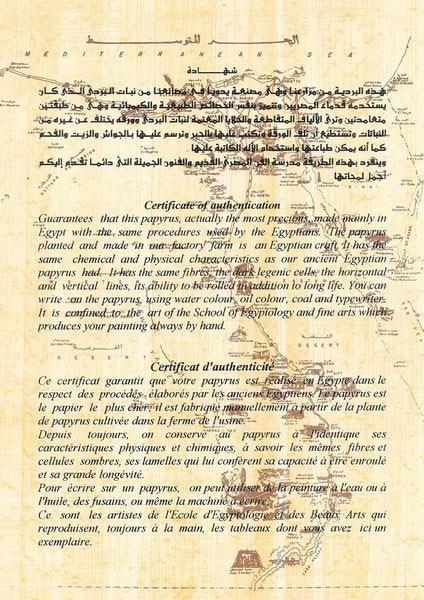 Certificat papyrus egyptien veritable fabrication artisanale egypte 1