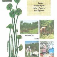 Papy 000b doc feuille papyrus naturel veritable fabrication artisannale roseaux papyrus