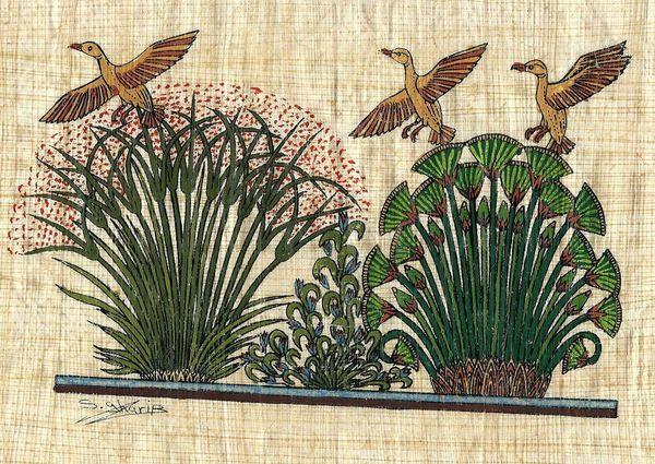 Papy 007a canards volant sur lee roseaux du nil peinture sur papyrus