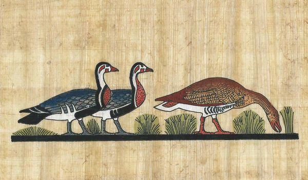 Papy 009a oies egyptienns au paturage peinture sur papyrus