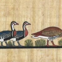 Papy 009a oies egyptienns au paturage peinture sur papyrus