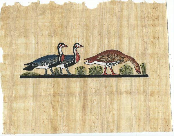 Papy 009b oies egyptienns au paturage peinture sur papyrus